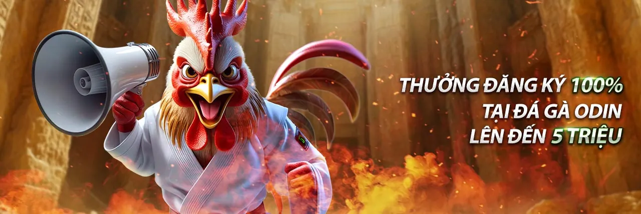 Hướng dẫn cá cược thể thao 8day nohu